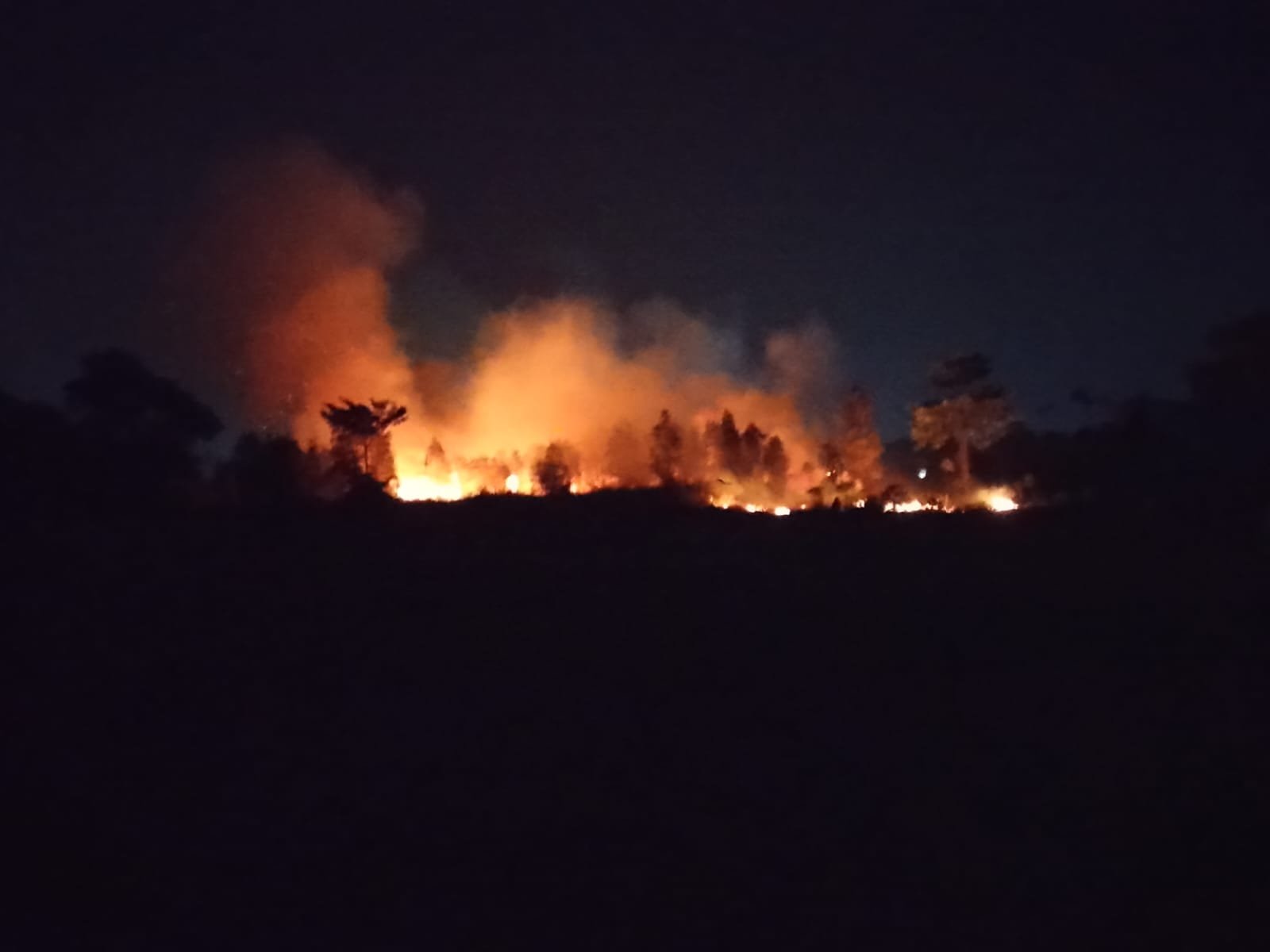 IMG-20260903-WA0149